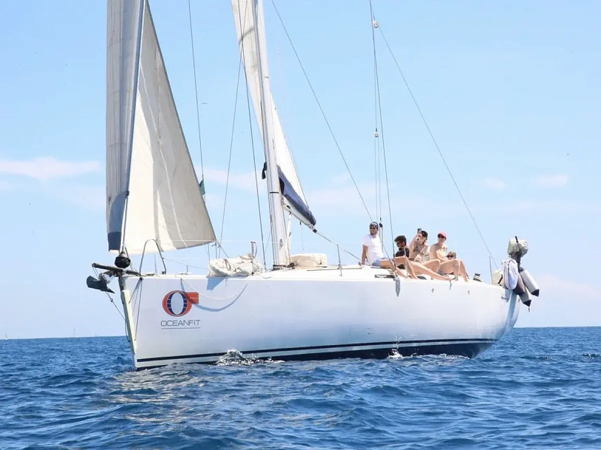 Varianta 44